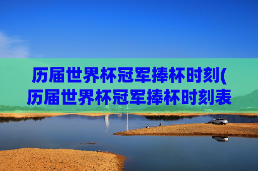 历届世界杯冠军捧杯时刻(历届世界杯冠军捧杯时刻表)