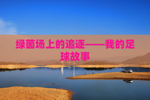 绿茵场上的追逐——我的足球故事