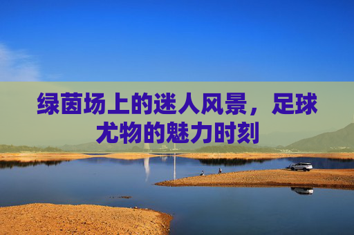 绿茵场上的迷人风景,足球尤物的魅力时刻