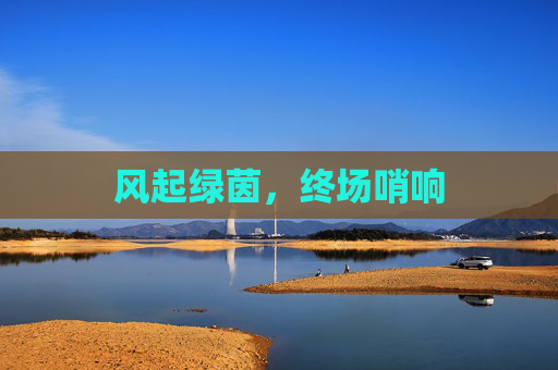 风起绿茵,终场哨响