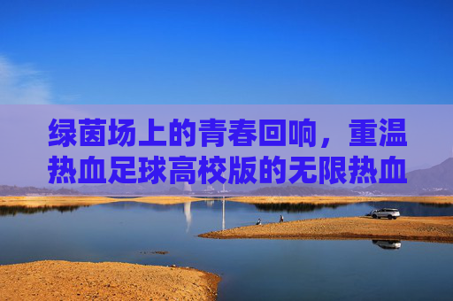 绿茵场上的青春回响，重温热血足球高校版的无限热血