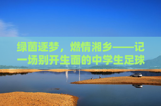 绿茵逐梦，燃情湘乡——记一场别开生面的中学生足球赛