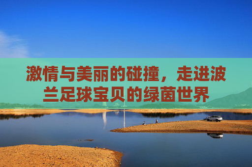 激情与美丽的碰撞,走进波兰足球宝贝的绿茵世界