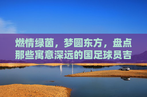 燃情绿茵,梦圆东方,盘点那些寓意深远的国足球员吉祥物名字