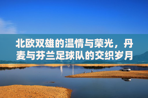 北欧双雄的温情与荣光,丹麦与芬兰足球队的交织岁月