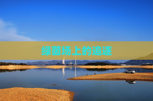 绿茵场上的追逐