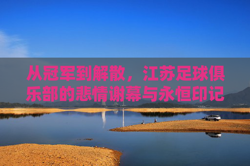 从冠军到解散,江苏足球俱乐部的悲情谢幕与永恒印记