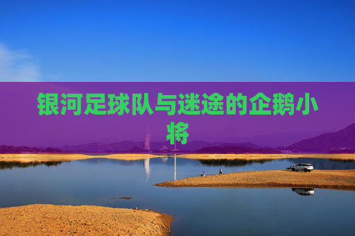 银河足球队与迷途的企鹅小将