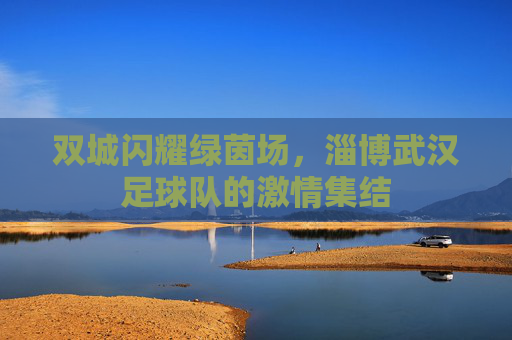 双城闪耀绿茵场,淄博武汉足球队的激情集结