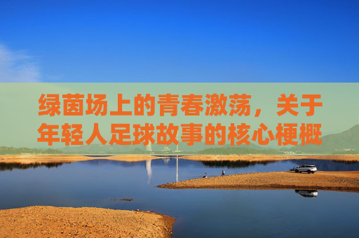 绿茵场上的青春激荡，关于年轻人足球故事的核心梗概