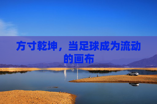 方寸乾坤,当足球成为流动的画布
