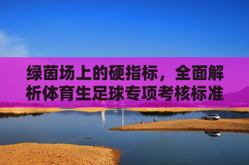 绿茵场上的硬指标,全面解析体育生足球专项考核标准与训练指南