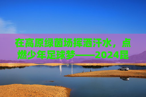 在高原绿茵场挥洒汗水,点燃少年足球梦——2024昆明足球夏令营火热招募中