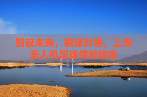 智驭未来,极速对决,上海无人机足球体验指南