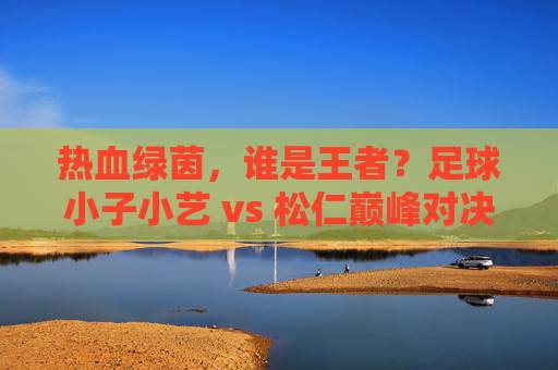 热血绿茵，谁是王者？足球小子小艺 vs 松仁巅峰对决