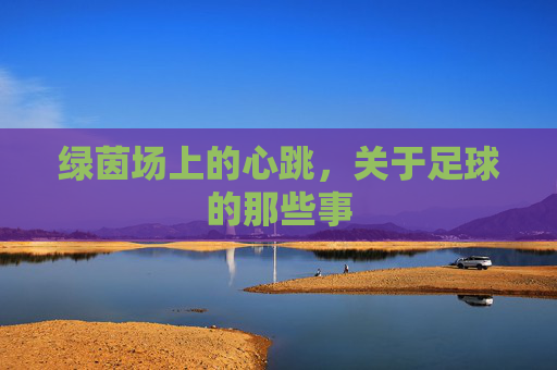 绿茵场上的心跳，关于足球的那些事