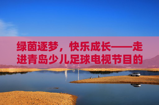 绿茵逐梦,快乐成长——走进青岛少儿足球电视节目的精彩世界