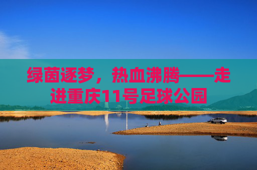 绿茵逐梦,热血沸腾——走进重庆11号足球公园
