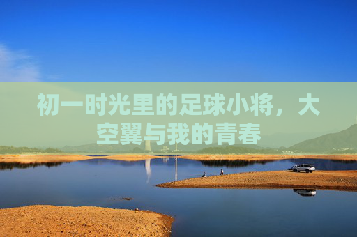 初一时光里的足球小将,大空翼与我的青春