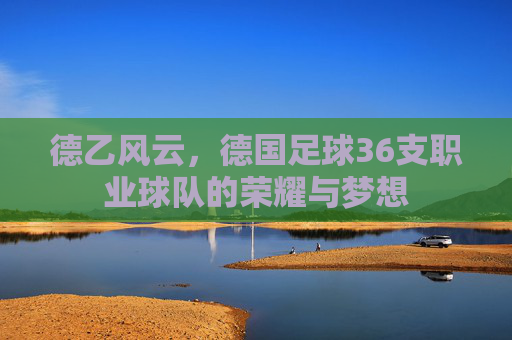 德乙风云,德国足球36支职业球队的荣耀与梦想