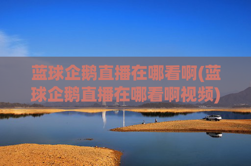 蓝球企鹅直播在哪看啊(蓝球企鹅直播在哪看啊视频)