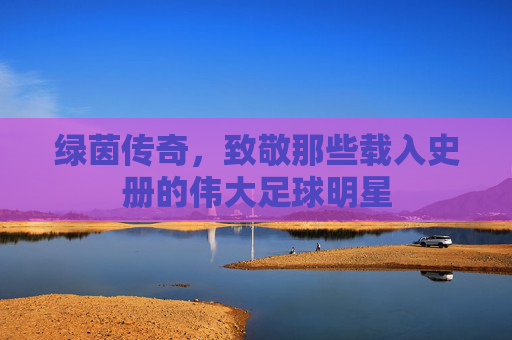 绿茵传奇,致敬那些载入史册的伟大足球明星