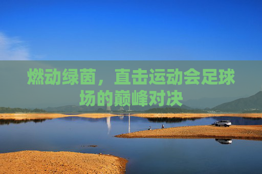 燃动绿茵,直击运动会足球场的巅峰对决
