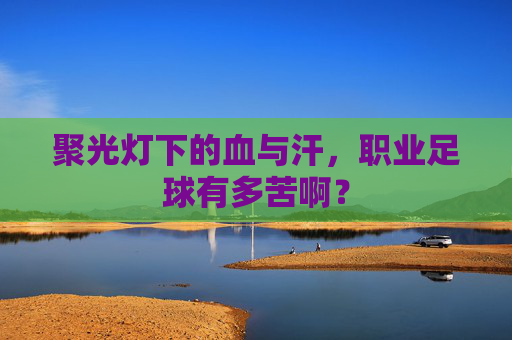 聚光灯下的血与汗,职业足球有多苦啊?
