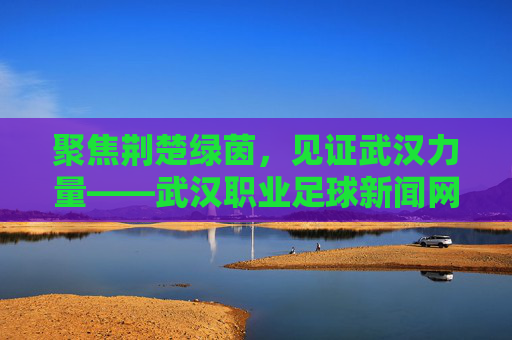 聚焦荆楚绿茵,见证武汉力量——武汉职业足球新闻网