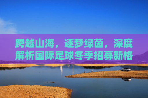 跨越山海，逐梦绿茵，深度解析国际足球冬季招募新格局