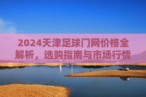 2024天津足球门网价格全解析,选购指南与市场行情