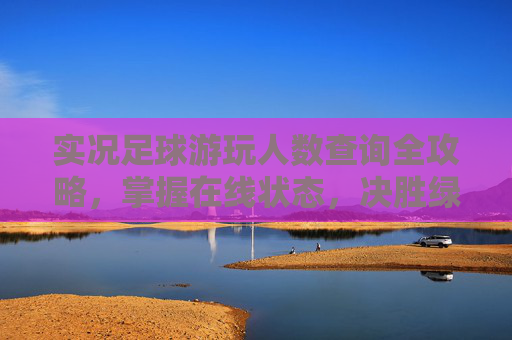 实况足球游玩人数查询全攻略,掌握在线状态,决胜绿茵赛场