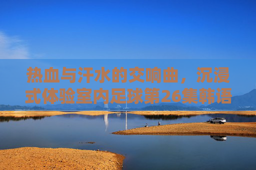 热血与汗水的交响曲,沉浸式体验室内足球第26集韩语版