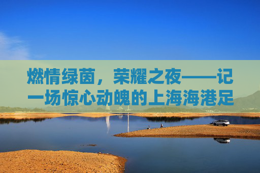 燃情绿茵,荣耀之夜——记一场惊心动魄的上海海港足球比赛