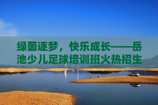 绿茵逐梦,快乐成长——岳池少儿足球培训班火热招生!