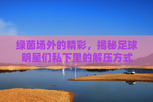 绿茵场外的精彩，揭秘足球明星们私下里的解压方式