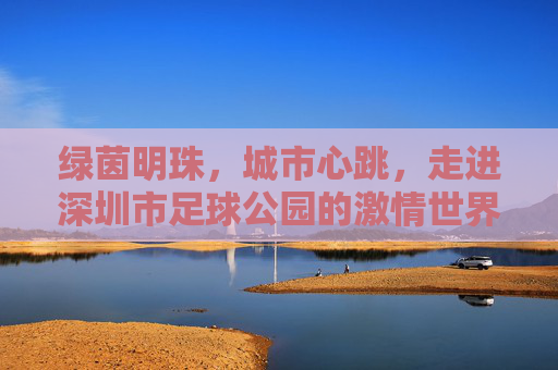 绿茵明珠,城市心跳,走进深圳市足球公园的激情世界
