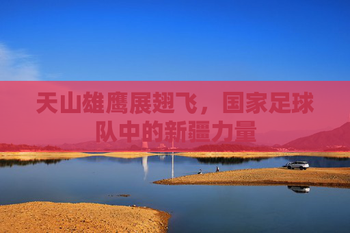 天山雄鹰展翅飞,国家足球队中的新疆力量