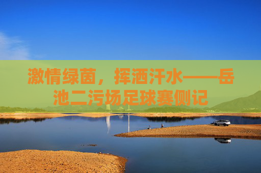 激情绿茵,挥洒汗水——岳池二污场足球赛侧记