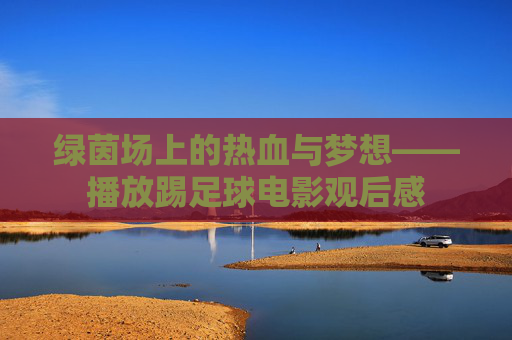绿茵场上的热血与梦想——播放踢足球电影观后感