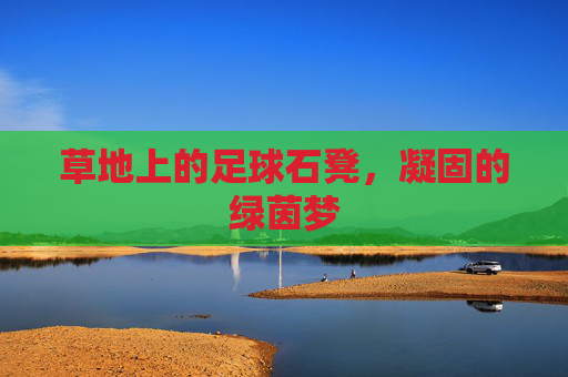 草地上的足球石凳，凝固的绿茵梦