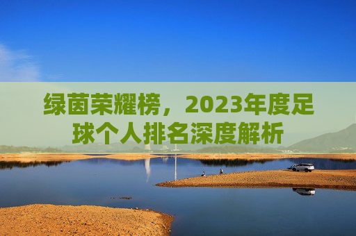 绿茵荣耀榜，2023年度足球个人排名深度解析