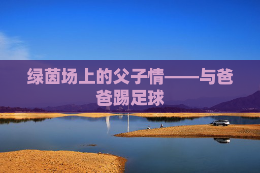 绿茵场上的父子情——与爸爸踢足球