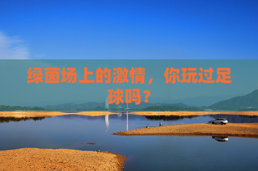 绿茵场上的激情,你玩过足球吗?