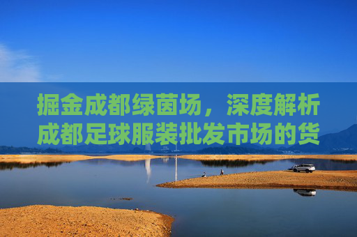 掘金成都绿茵场,深度解析成都足球服装批发市场的货源与商机