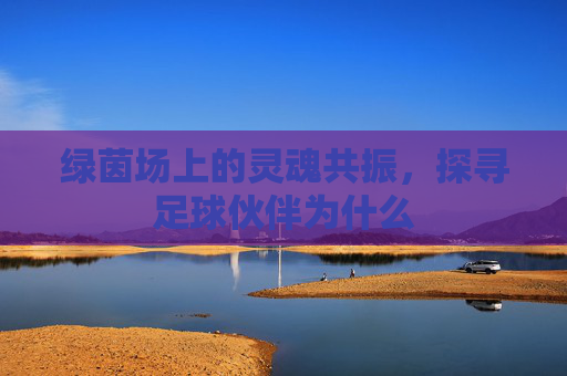 绿茵场上的灵魂共振,探寻足球伙伴为什么