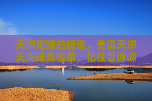 天津足球的挽歌,重温天津天海球员名单,忆往昔峥嵘岁月