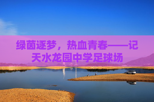 绿茵逐梦,热血青春——记天水龙园中学足球场