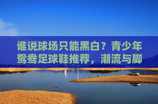 谁说球场只能黑白？青少年鸳鸯足球鞋推荐，潮流与脚感的完美结合