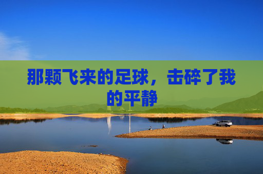 那颗飞来的足球,击碎了我的平静